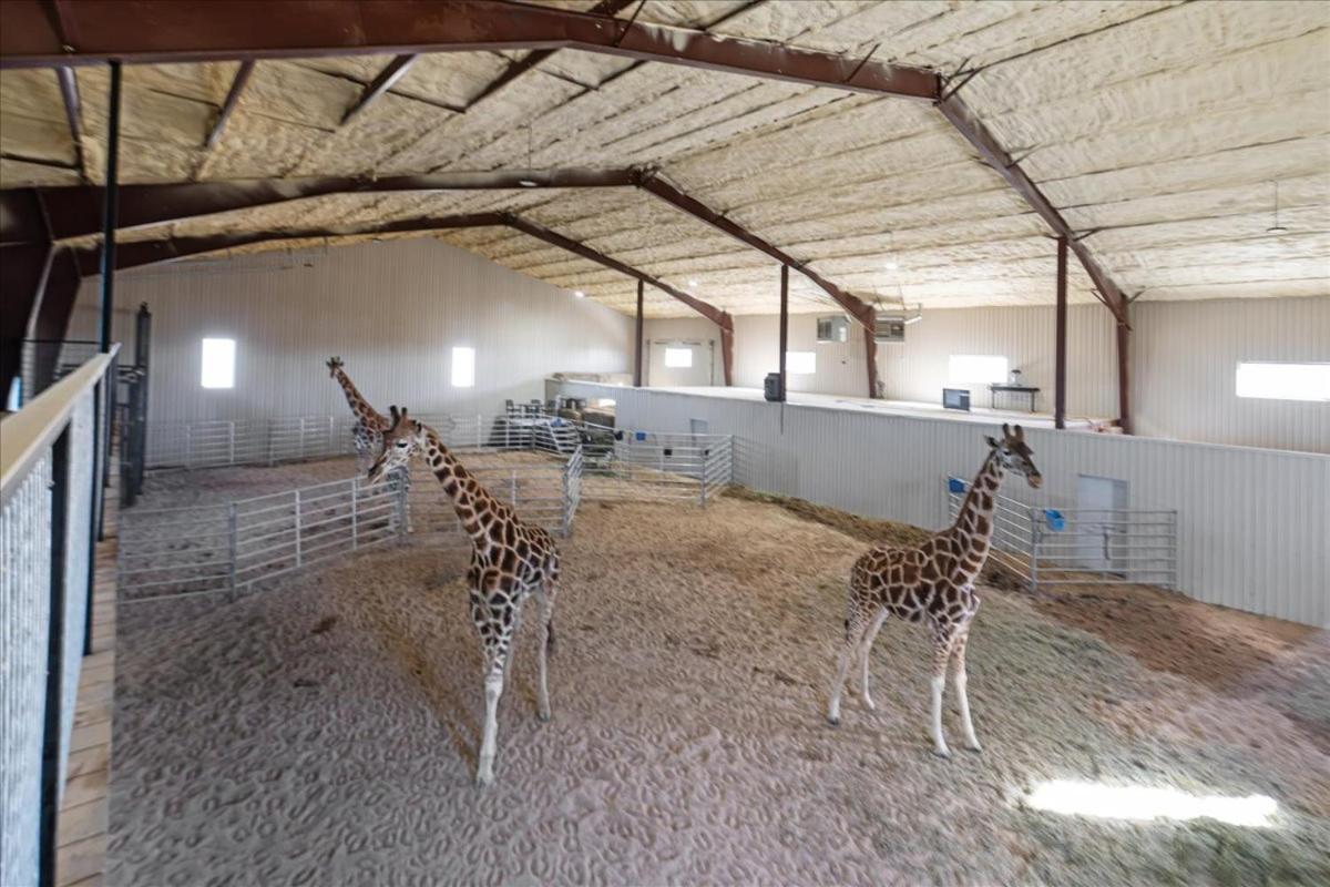 Blue Hills Ranch Otel McGregor Dış mekan fotoğraf