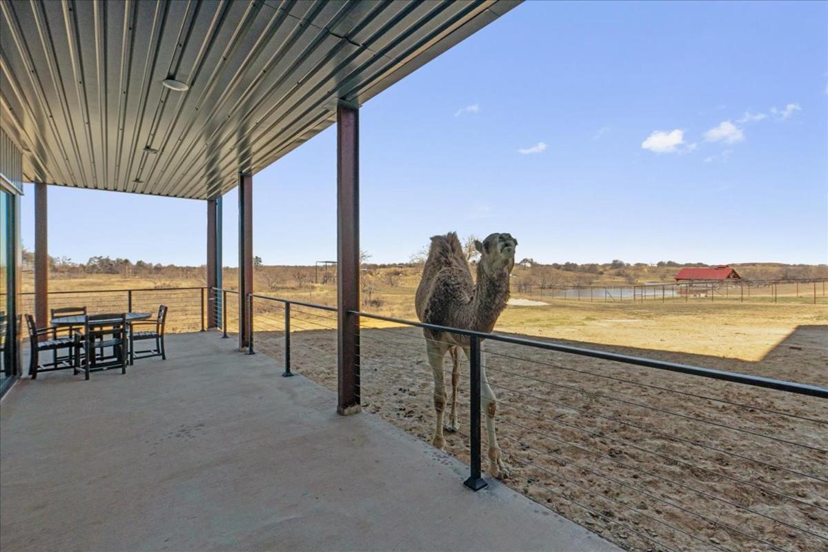 Blue Hills Ranch Otel McGregor Dış mekan fotoğraf