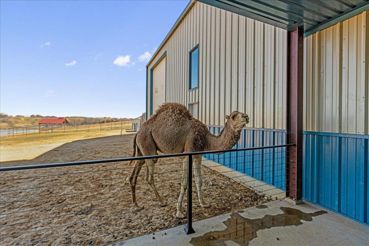 Blue Hills Ranch Otel McGregor Dış mekan fotoğraf